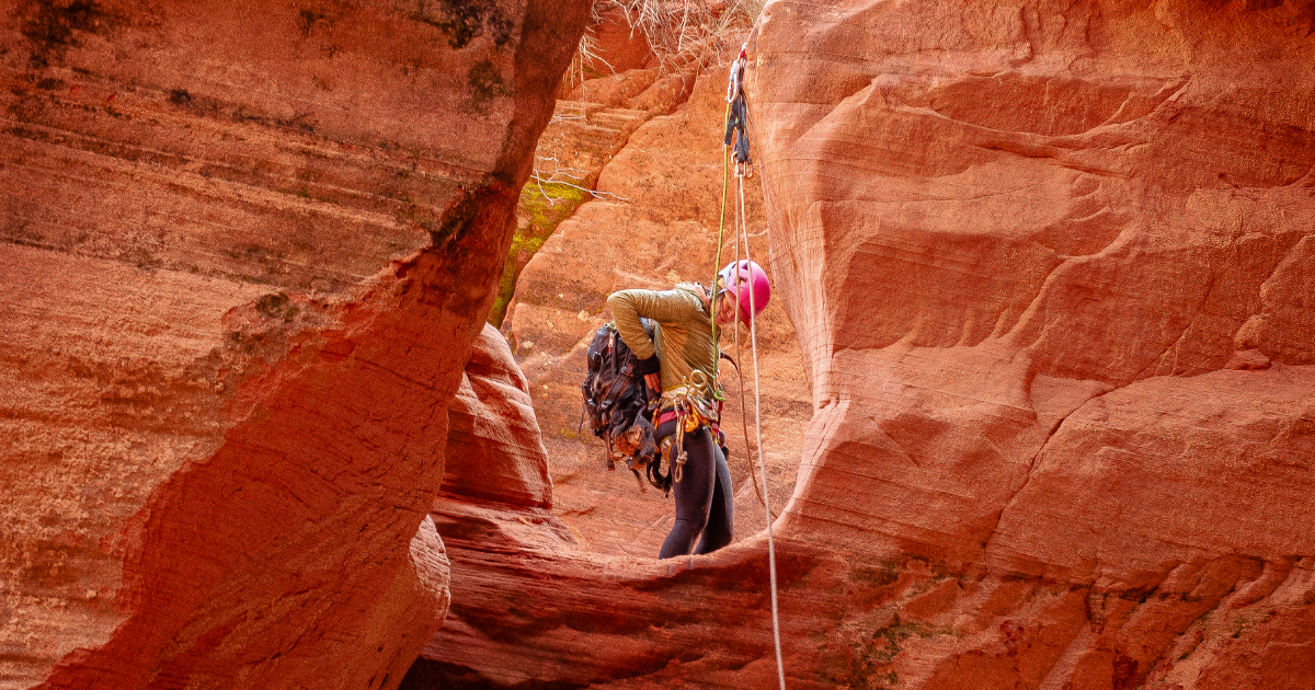 Tufted Puffin on our Happy Puffin Tour